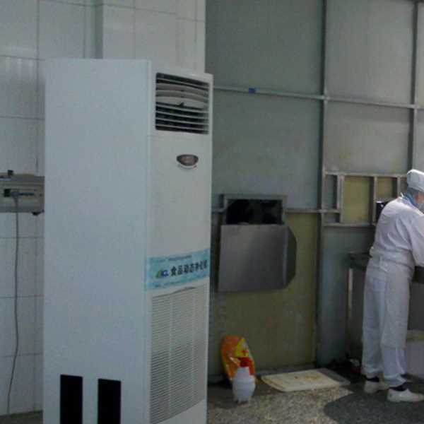 临夏食品正负离子空气杀菌器